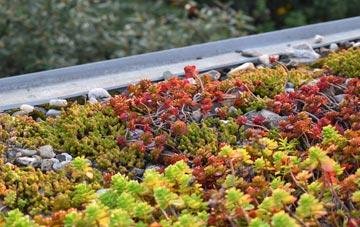 the cost of Rotten End green roof installation