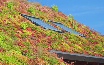 Rotten End living roof systems